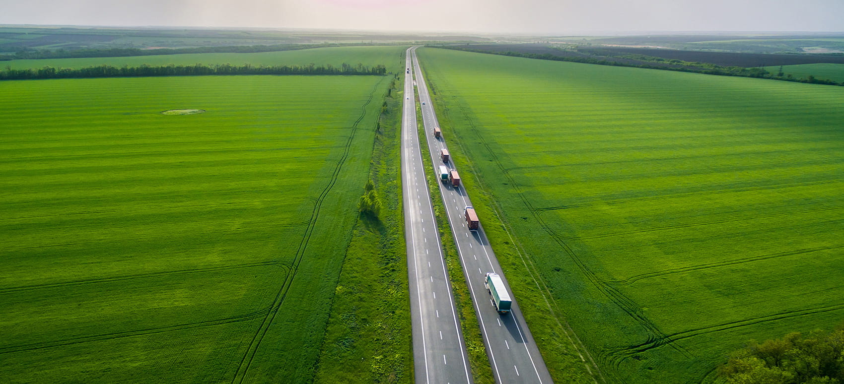 Rekat ajavat jonossa maantiellä peltojen keskellä.